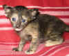 K1-181106.jpg (46065 tavu(a))