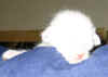 pienempi_281005.jpg (36215 tavu(a))