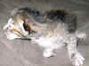 raita_221005.jpg (40715 tavu(a))
